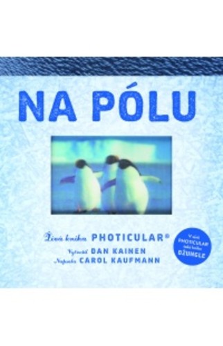 Na pólu Na pólu