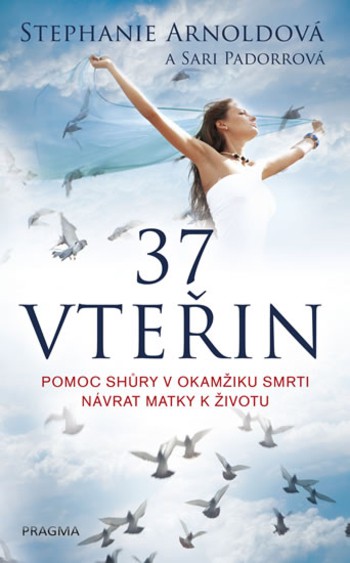 37 vteřin. Pomoc shůry v okamžiku smrti návrat matky k životu 37 vteřin. Pomoc shůry v okamžiku smrti návrat matky k životu