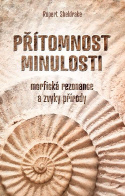 Přítomnost minulosti Přítomnost minulosti