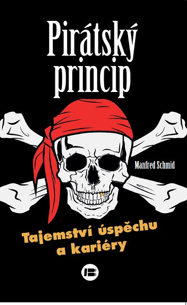 Pirátský princip Pirátský princip