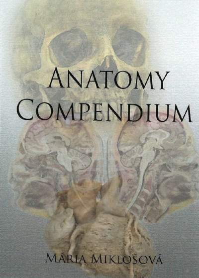 Anatomy Compendium Anatomy Compendium