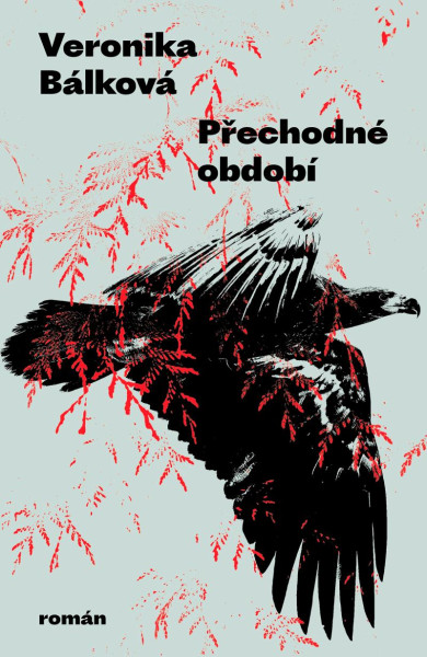 Přechodné období Přechodné období