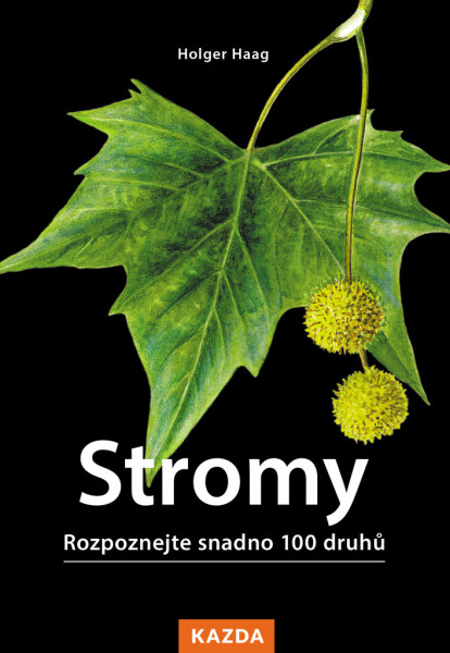 Stromy Stromy