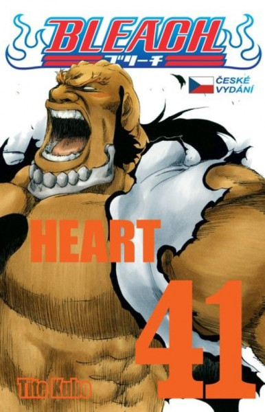 Bleach 41: Heart Bleach 41: Heart