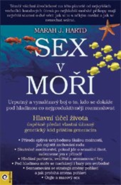 Sex v moři