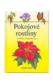 Pokojové rostliny