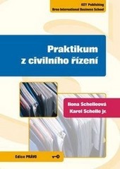 Praktikum z civilního řízení Praktikum z civilního řízení
