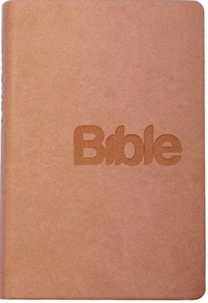 Bible (pudrová - imitace kůže)