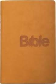 Bible, překlad 21. století (Gold kůže)