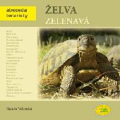 Želva zelenavá Želva zelenavá