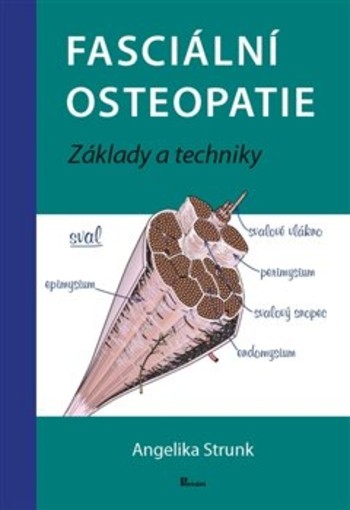 Fasciální osteopatie - Základy a techniky Fasciální osteopatie - Základy a techniky