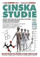 Čínská studie