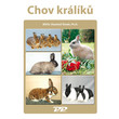 Chov králíků Chov králíků