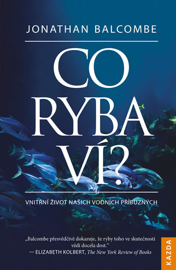 Co ryba ví? Co ryba ví?
