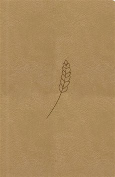 Bible21 – kapesní (honey)