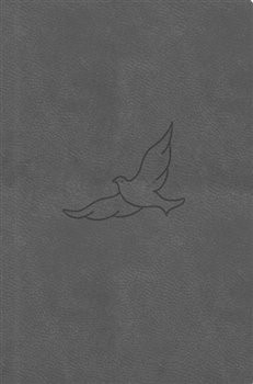 Bible21 – kapesní (Pepper)