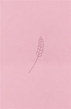 Bible21 – kapesní (Rosé)