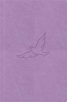 Bible21 – kapesní (lila)