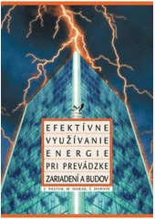 Efektívne využívanie energie Efektívne využívanie energie