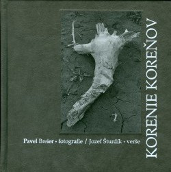 Korenie koreňov Korenie koreňov