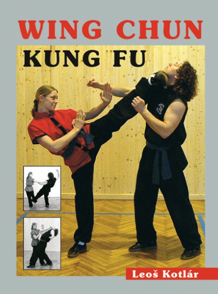 Wing chun kung fu Wing chun kung fu