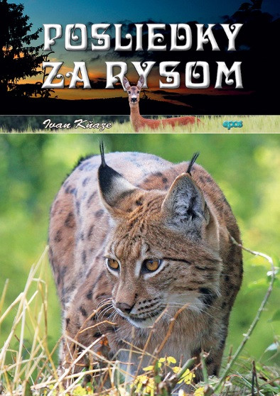 Posliedky za rysom Posliedky za rysom