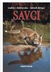 Savci