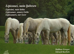 Lipicanci, naša ljubezen Lipicanci, naša ljubezen