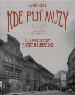 Kde pijí múzy 3