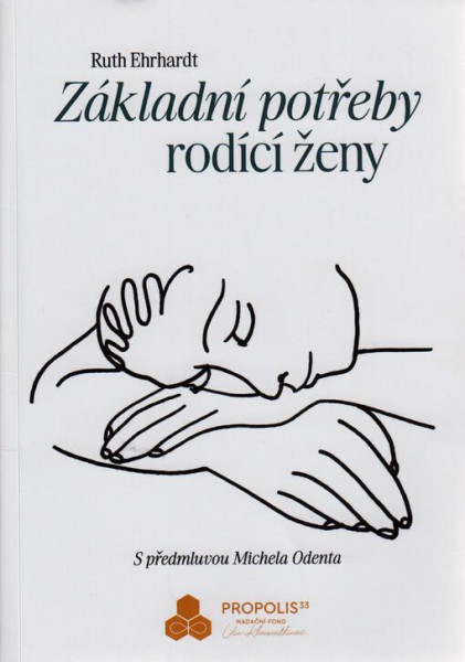 Základní potřeby rodící ženy Základní potřeby rodící ženy