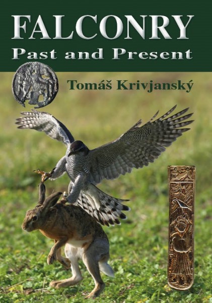 Falconry Falconry