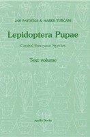Lepidoptera Pupae