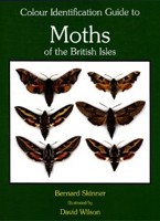 Moths of the British Isles Moths of the British Isles