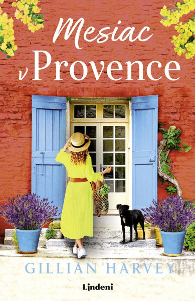 Mesiac v Provence