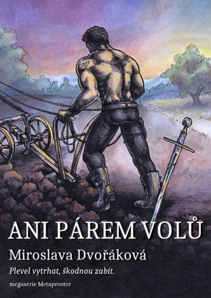 Ani párem volů…