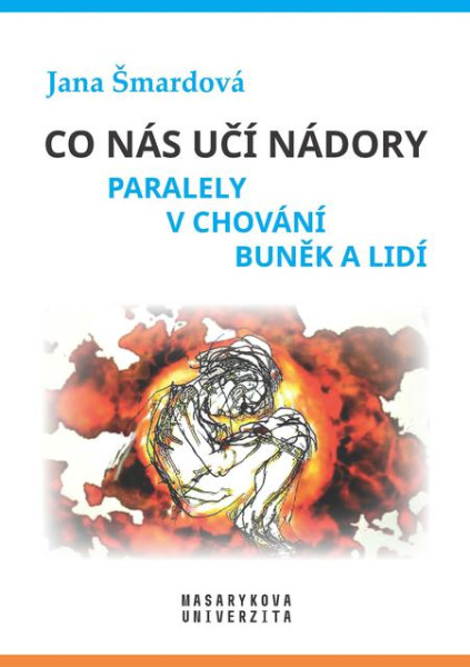 Co nás učí nádory Co nás učí nádory