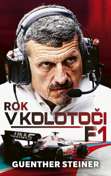 Rok v kolotoči F1