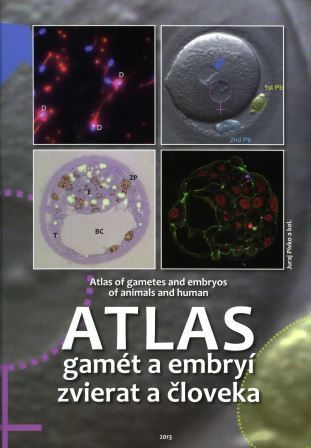 Atlas gamét a embryí zvierat a človeka Atlas gamét a embryí zvierat a človeka