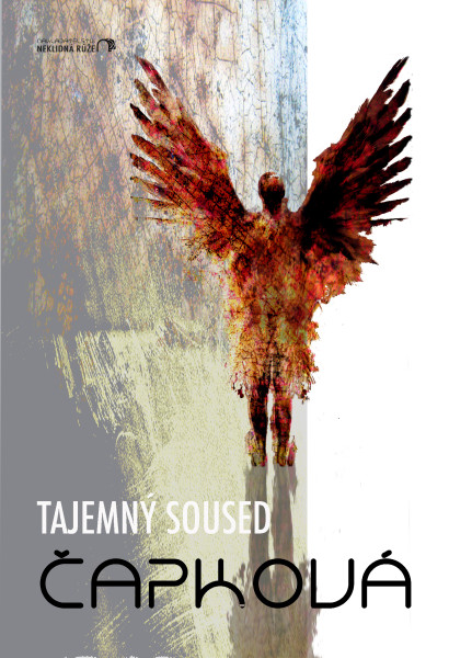 Tajemný soused