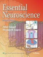 Essential Neuroscience, 2/e