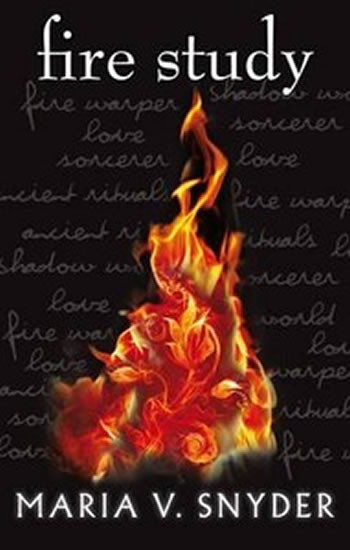 Fire Study Fire Study