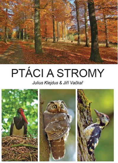 Ptáci a stromy