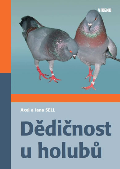 Dědičnost u holubů Dědičnost u holubů