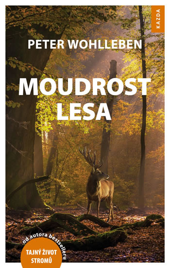 Moudrost lesa Moudrost lesa