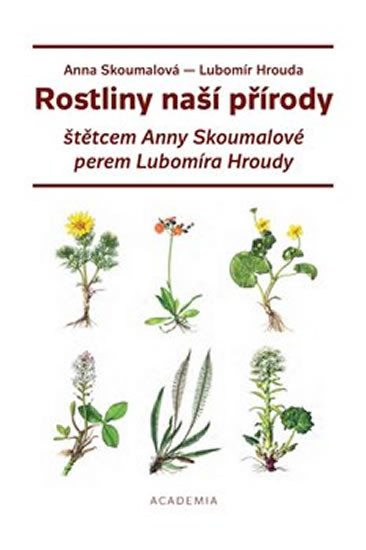 Rostliny naší přírody štětcem Anny Skoum Rostliny naší přírody štětcem Anny Skoum