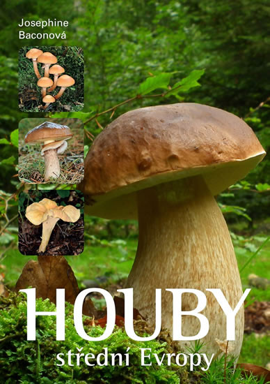 Houby střední Evropy Houby střední Evropy