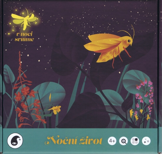 Noční život Noční život