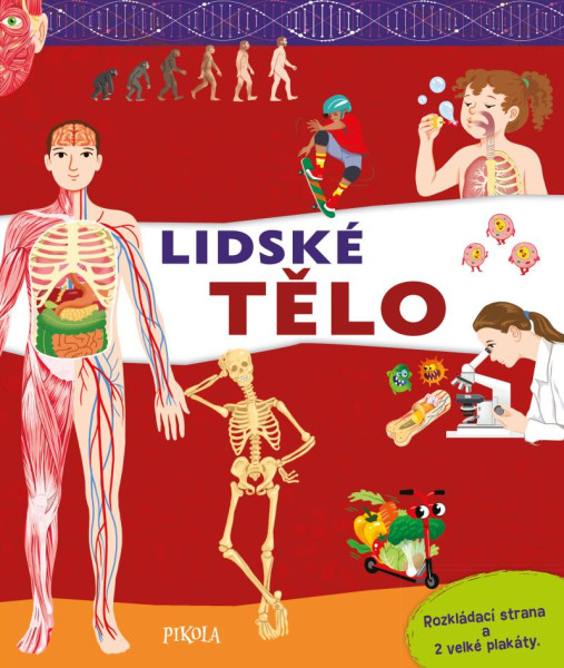 Lidské tělo Lidské tělo