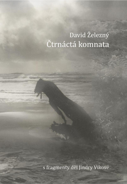 Čtrnáctá komnata Čtrnáctá komnata