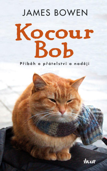 Kocour Bob Kocour Bob
